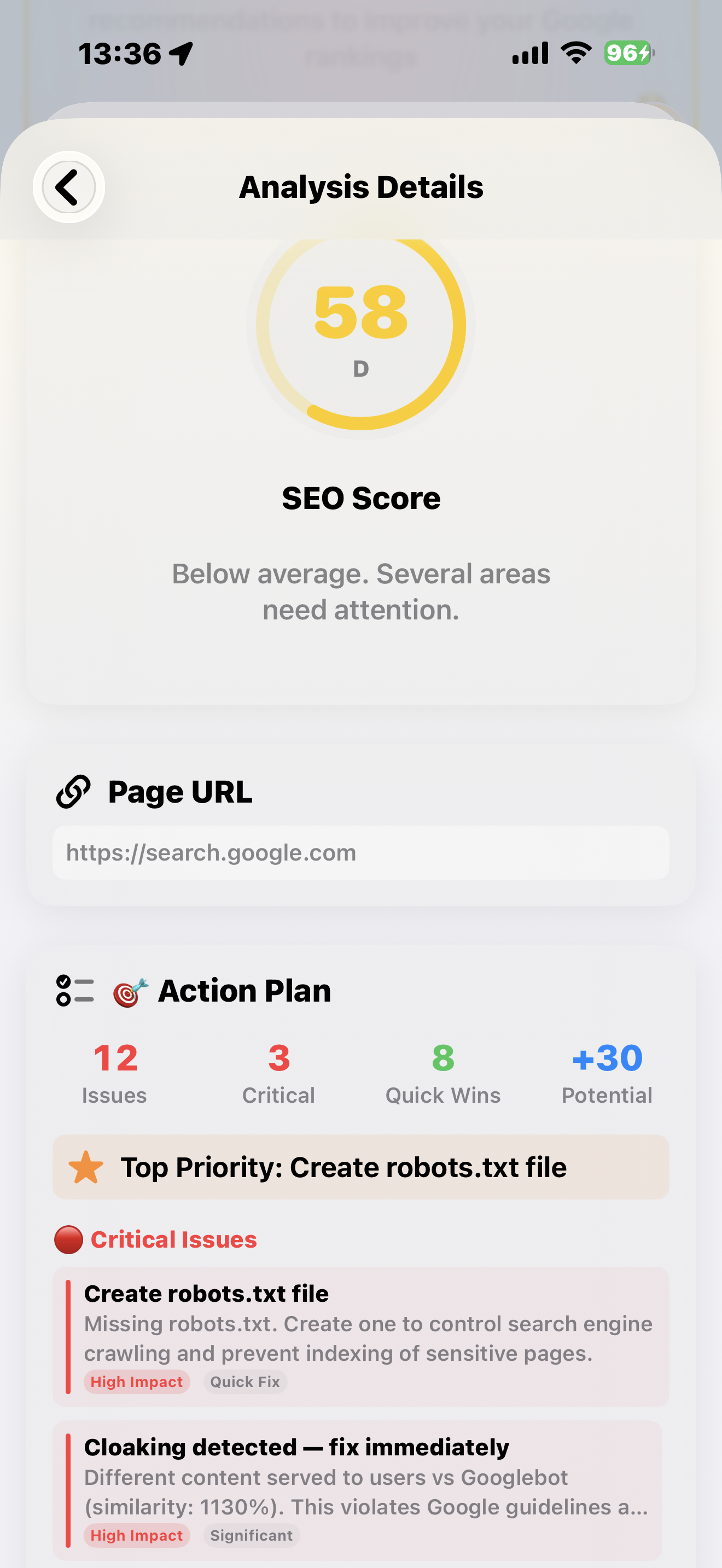 SEO Auditor analysis details screen